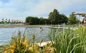 Der Naturpool
